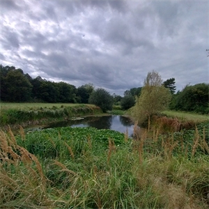 etang à la vente -   49490  NOYANT, surface 28600 m2 vente etang - UBI473807969
