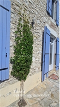 Photo numero 47464546 du bien UBI473816021