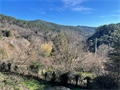 Photo numero 47463160 du bien UBI474254126