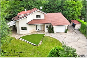 maison à la vente -   01170  ECHENEVEX, surface 120 m2 vente maison - UBI476443529
