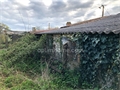 Photo numero 47808581 du bien UBI477257972