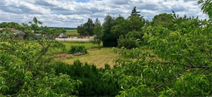 maison de village à la vente -   54170  BARISEY AU PLAIN, surface 130 m2 vente maison de village - UBI477418367