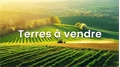 Image du bien UBI478422977