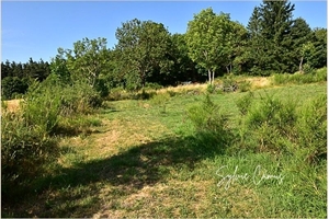 terrain a batir à la vente -   43620  SAINT PAL DE MONS, surface 1300 m2 vente terrain a batir - UBI478841255