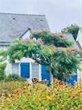 Maison à la vente
