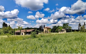 maison en pierres à la vente -   32000  AUCH, surface 190 m2 vente maison en pierres - UBI480647504
