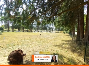 terrain à la vente -   56350  ALLAIRE, surface 1400 m2 vente terrain - UBI481334861