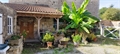 Image du bien UBI481795361