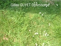 Image du bien UBI481926683