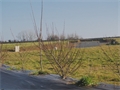 Image du bien UBI482269244