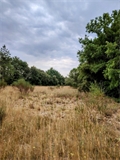 Terrain à bâtir à la vente