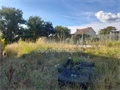 Image du bien UBI483682949