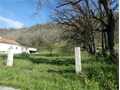 Photo numero 48369905 du bien UBI483304049