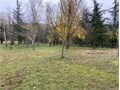 Photo numero 43115135 du bien UBI430487195