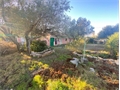 Image du bien UBI475025762