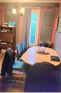 Image du bien UBI478317998