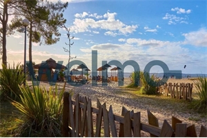 t2 à la vente -   40600  BISCARROSSE, surface 30 m2 vente t2 - UBI475421039