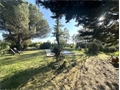 Photo numero 48248448 du bien UBI481841180