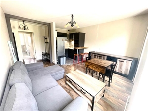 t3 à la location -   58300  SAINT LEGER DES VIGNES, surface 52 m2 location t3 - UBI478910336
