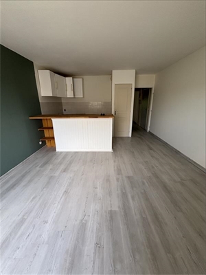 t2 à la location -   91160  91160 SAULX LES CHARTREUX, surface 44 m2 location t2 - UBI479558726