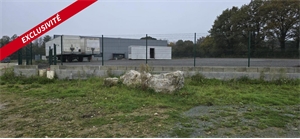 terrain à la vente -   85250  SAINT FULGENT, surface 2000 m2 vente terrain - UBI447505403