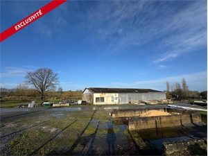 terrain à la vente -   53380  JUVIGNE, surface 5449 m2 vente terrain - UBI456176348