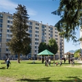 Appartement à la vente