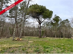 terrain a batir à la vente -   24140  QUEYSSAC, surface 2350 m2 vente terrain a batir - UBI461937140