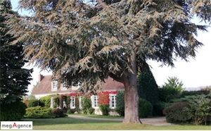 maison à la vente -   61110  BRETONCELLES, surface 252 m2 vente maison - UBI463039085
