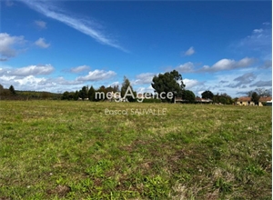 terrain a batir à la vente -   24110  SAINT LEON SUR L ISLE, surface 1406 m2 vente terrain a batir - UBI464217095