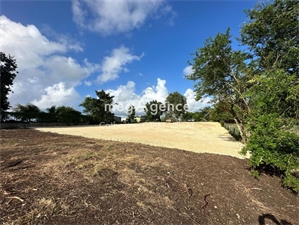 terrain a batir à la vente -   97180  SAINTE ANNE, surface 6389 m2 vente terrain a batir - UBI465044777