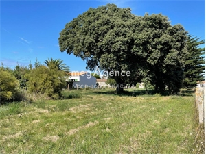 terrain a batir à la vente -   17310  SAINT PIERRE D OLERON, surface 2315 m2 vente terrain a batir - UBI465396425