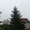 Image du bien UBI468022376