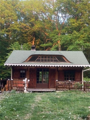 chalet à la vente -   45210  BAZOCHES SUR LE BETZ, surface 38 m2 vente chalet - UBI470917112