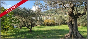 terrain a batir à la vente -   04100  MANOSQUE, surface 2335 m2 vente terrain a batir - UBI476223611