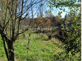 Photo numero 47770951 du bien UBI476413715