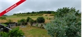 Photo numero 48245370 du bien UBI482188094