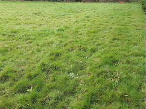 terrain a batir à la vente -   56000  VANNES, surface 875 m2 vente terrain a batir - UBI483699206