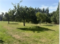 Photo numero 48389057 du bien UBI483930995