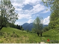 Photo numero 48460430 du bien UBI484205642