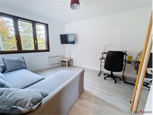 meuble à la vente -   38650  CHATEAU BERNARD, surface 34 m2 vente meuble - UBI484287098