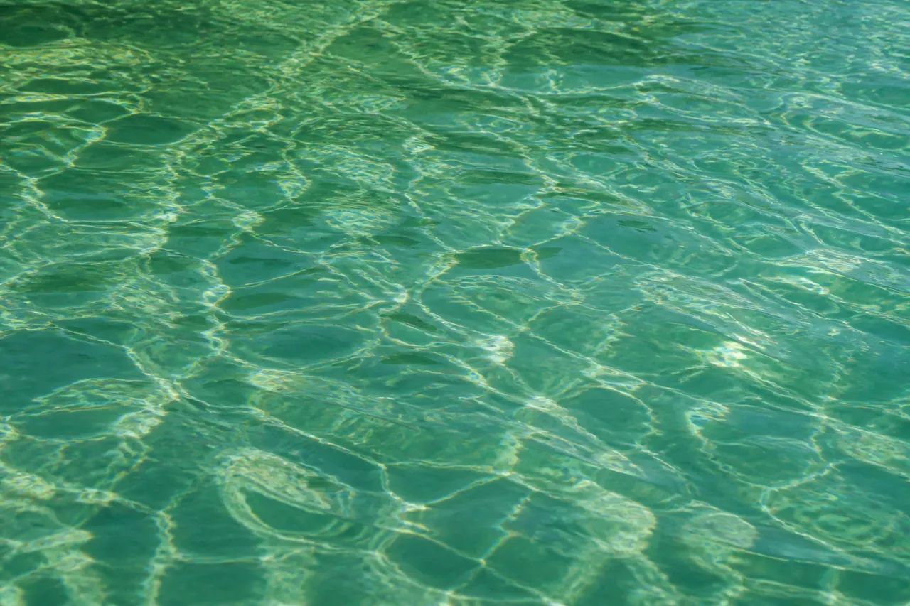 Eau de piscine verte, signe d'algues ou de déséquilibre chimique